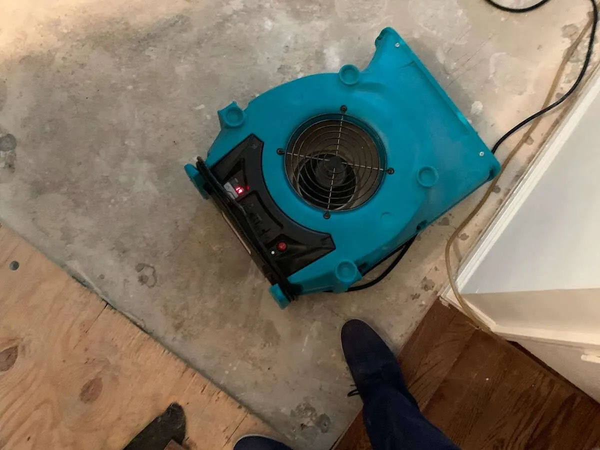 Air mover drying subfloor during Commercial Water Damage Restoration in South Pasadena